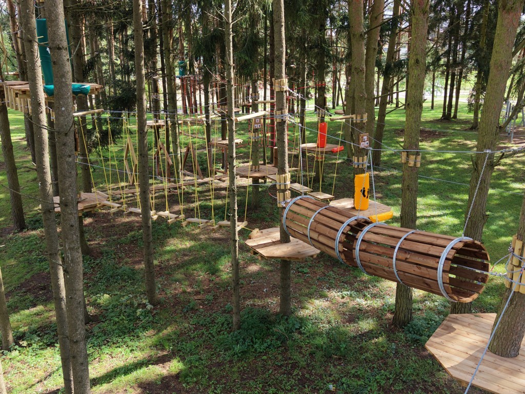 Medinės platformos ir lynai tarp medžių