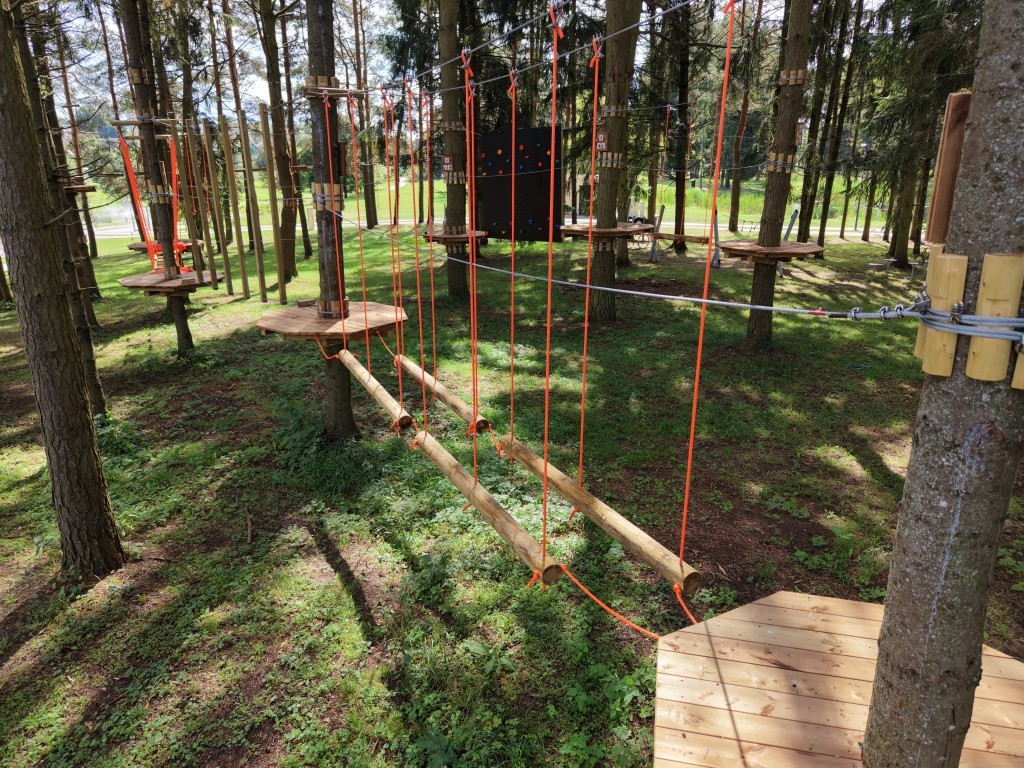 Lynų trasa saulėtame miške